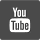 Icon YouTube